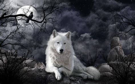 White Wolf Desktop Wallpapers - Top Free White Wolf Desktop Backgrounds - WallpaperAccess