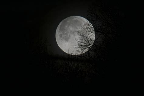 Free stock photo of moon, super blue moon