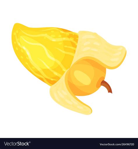 Ripe yellow mango with peel Royalty Free Vector Image