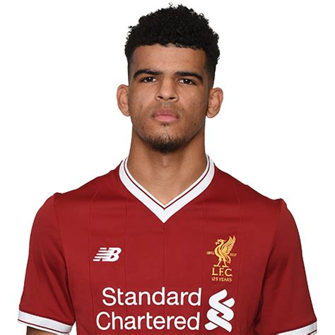 Dominic Solanke Player Profile and his journey to Livepool FC ...