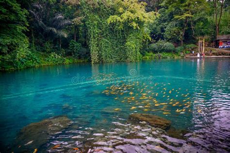 Situ Cipanten of Majalengka. Beautiful Blue Lakes in the Forest with Green Trees. Spot Tourism ...