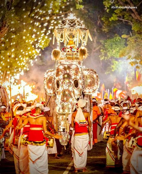 Kandy Esala Perahera: A Spectacular Display of Sri Lankan Culture