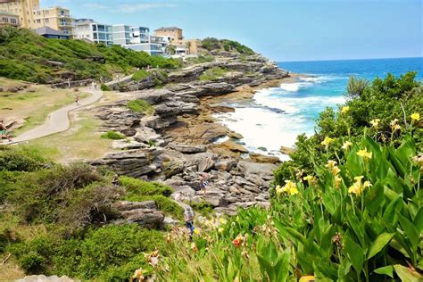 Bondi to Coogee Walk, One of the best Sydney Coastal Walks!