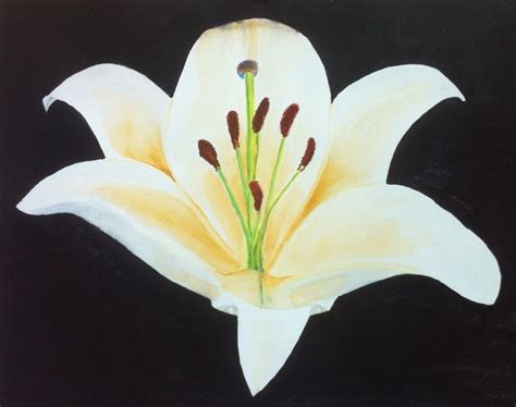 Single Flower Painting at PaintingValley.com | Explore collection of ...