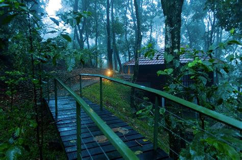 Tree House at Wayanad - Nearby Vythiri Village