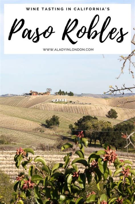 Wine Tasting in Paso Robles, California - 3 Great Wineries for Tasting