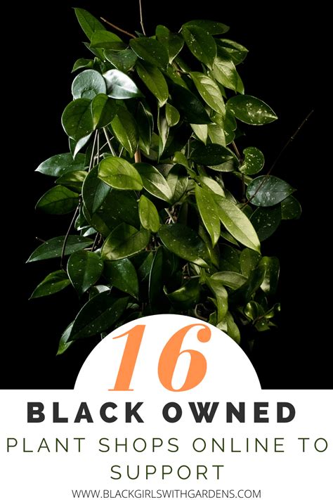 16 Black Owned Plant Shops Online To Support Forever - Black Girls With Gardens