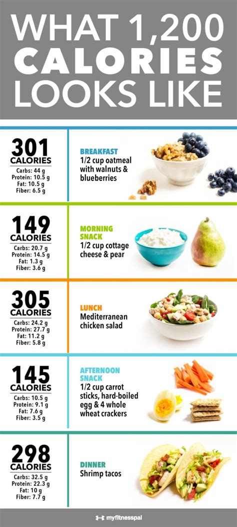 Dr Nowzaradan Diet Plan 1200 Calories | PrintableDietPlan.com