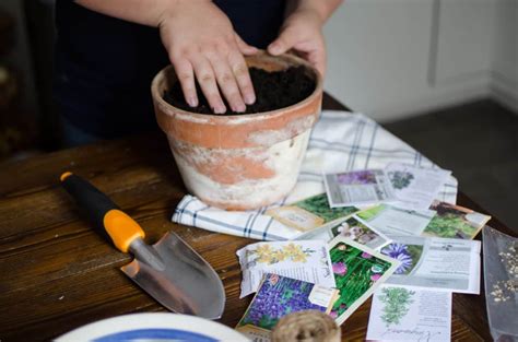 How to Start Herb Seeds For Your Garden - The Fewell Homestead