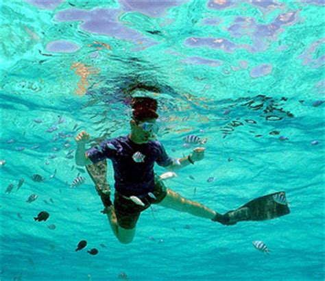 Key West Snorkeling Tours