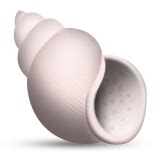 Spiral Shell Emoji - Copy & Paste - EmojiBase!