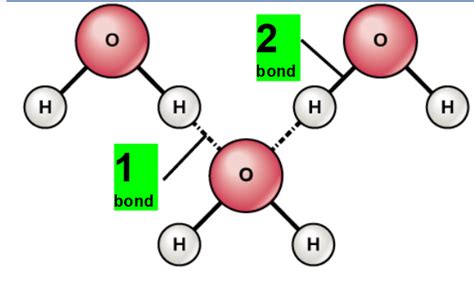 Water Molecule labeled Diagram | Quizlet