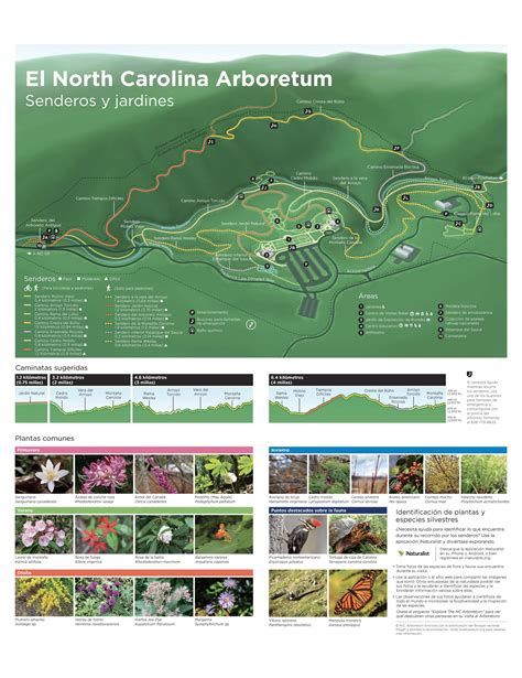 Arboretum Maps - The North Carolina Arboretum