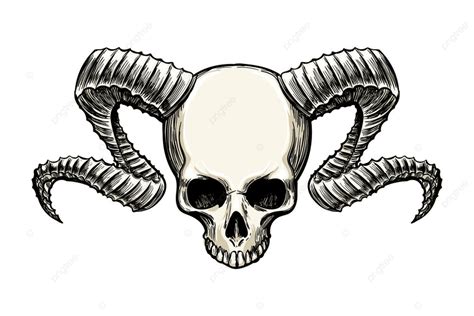 Ram Horn Vector Hd Images, Human Skull With Ram Horns Drawn In Sketh Tattoo Style Isolated On ...