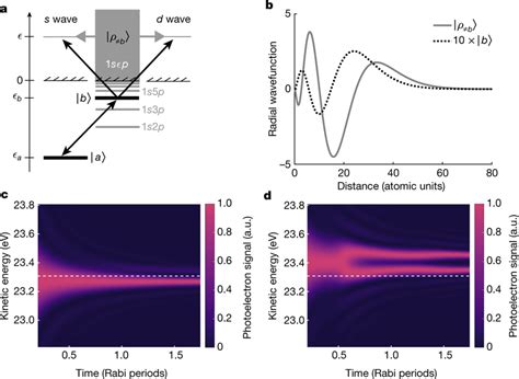 Quantum interference with a giant wave a, Energy-level diagram for the ...