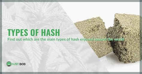 Types of hashish: the most popular varieties!