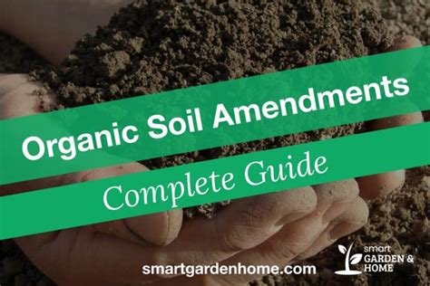 Organic Amendments For Soil: Complete Guide | Smart Garden & Home