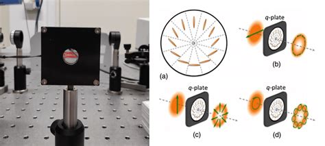 6 The picture on the left shows the q-plate used in this work ...