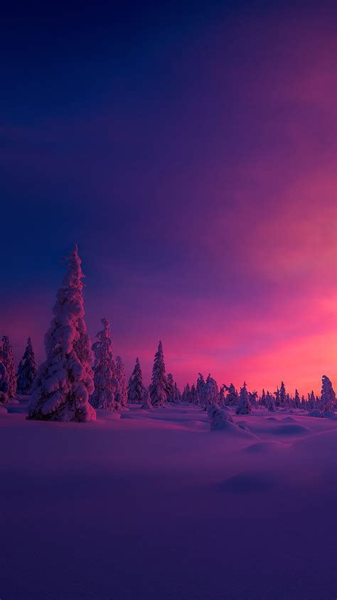 Winter Sunset, snow, HD phone wallpaper | Peakpx