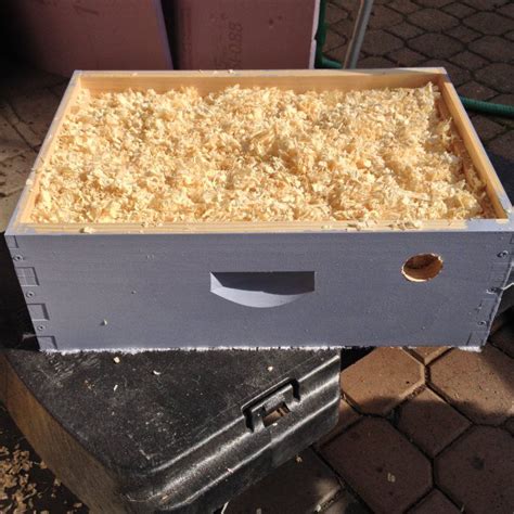 Helping bees to overwinter by constructing a ventilated quilt box for ...