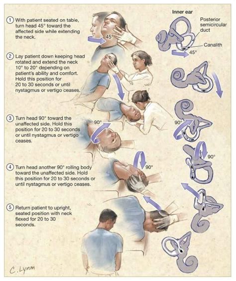JAMA on Twitter | Physical therapy exercises, Physical therapy, Therapy