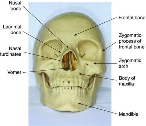 Facial Fractures – Core EM