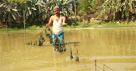 Mocked For Leaving Govt Job to Farm Pearls, Bihar Man Now Finds National Acclaim