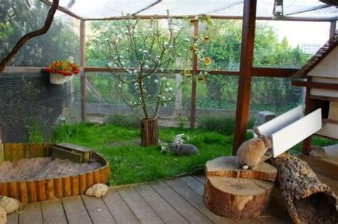 Nice outdoor play area so bunny is completely safe from daytime predators. Bunnies should be ...