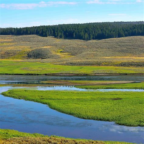 Hayden Valley (Yellowstone National Park) - All You Need to Know BEFORE ...