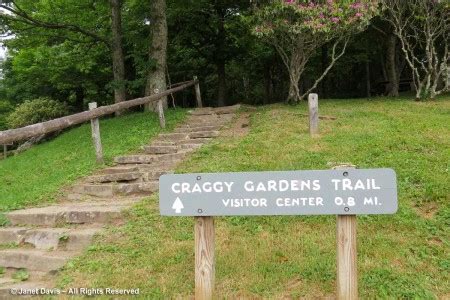 Craggy Gardens-Picnic Area | Janet Davis Explores Colour