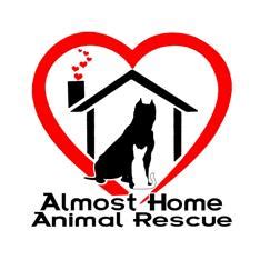 Pets for Adoption at Almost Home Animal Rescue, in Fort Worth, TX ...