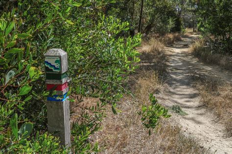 Happy Trails: Tips to Hiking the Del Monte Forest in Pebble Beach