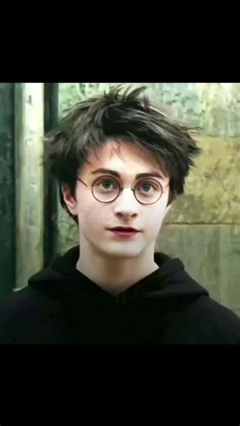 Harry 🦁 and Draco🐍 en 2022 | Películas de harry potter, Harry potter ...