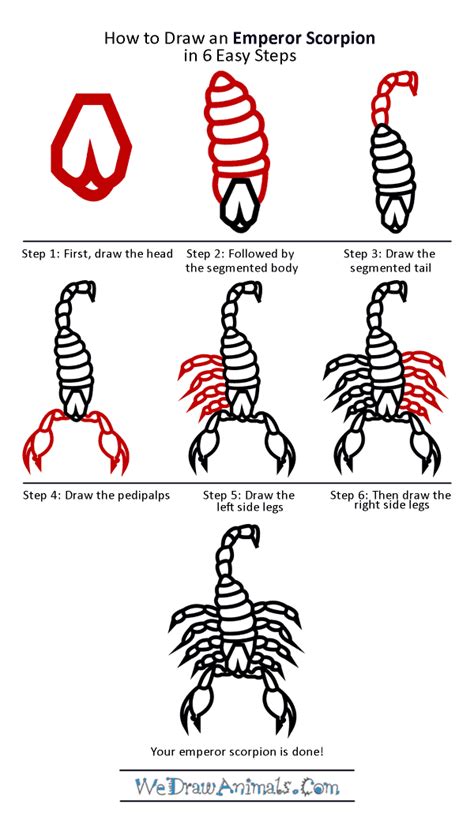 How to Draw an Emperor Scorpion