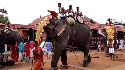 Elephant in Kerala temple festivals - YouTube