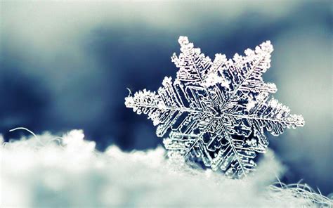 Snowflakes Wallpapers - Wallpaper Cave