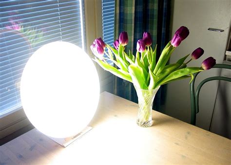 Bright Light Therapy Lamp Health Benefits - Cosmetic News