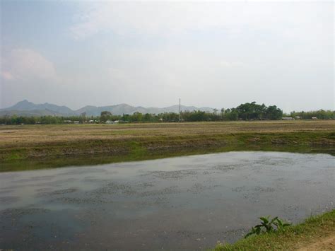 Eutrophication caused by agricultural runoff, Manipur | Flickr