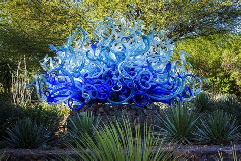 Visit The Desert Botanical Garden - Top Places to See in Arizona