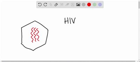 SOLVED:HIV is an RNA virus that affects CD4 cells, also known as T cells, in the human body ...