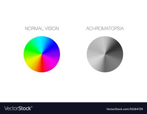 Achromatopsia vision deficiency Royalty Free Vector Image