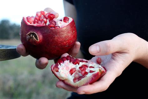 Surprising health benefits of eating pomegranate seeds