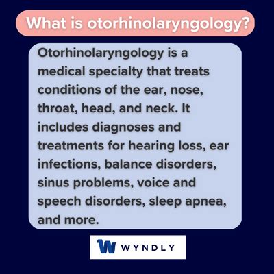 Otorhinolaryngology Definition: What Is Otorhinolaryngology? (2024) & Wyndly