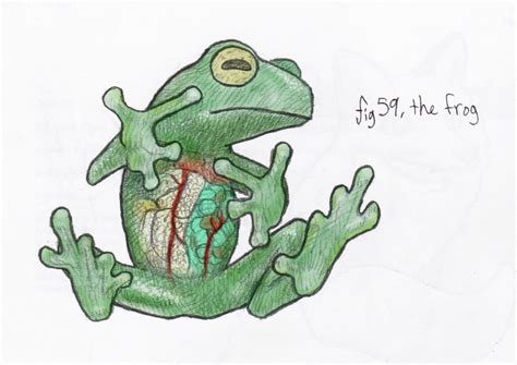 Jun Makes Stuff: #75 The Frog (Glass Frog)