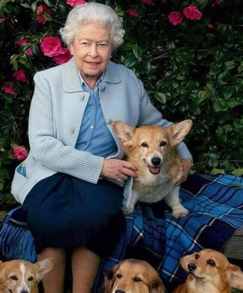 Queen Elizabeth | Queen elizabeth corgi, Queen elizabeth, Corgi queen