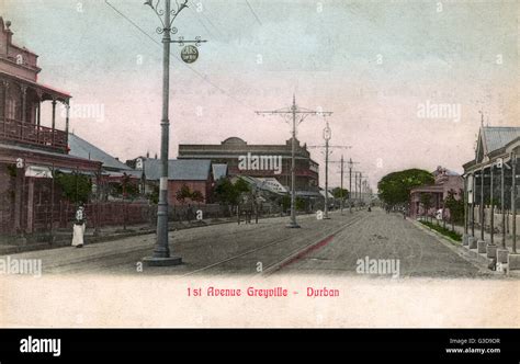 First Avenue, Greyville, a suburb of Durban, Natal Province, South Stock Photo, Royalty Free ...