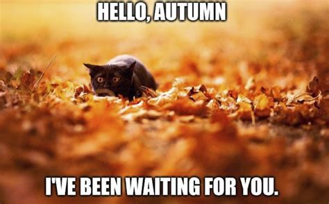 These Memes Are For All Of You Who Are Waiting For Fall - Is It Fall ...