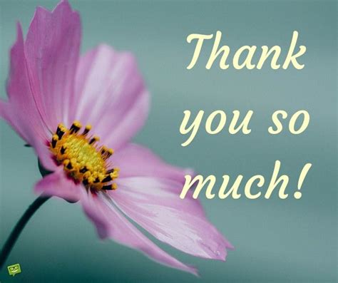 Thank you Images | Pictures to Help you Express your Gratitude | Thank you memes, Thank you ...