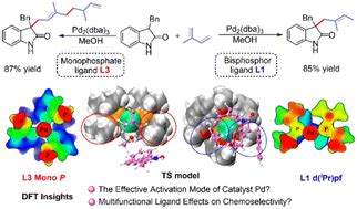 Insights into the mechanism and origin of multifunctional ligand effects on chemoselectivity in ...