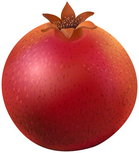 pomegranate clipart png 10 free Cliparts | Download images on Clipground 2024